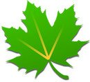 Greenify icon download