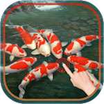 Magic Touch: Koi Fish  icon download