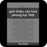 Văn hoá phong tục Việt  icon download