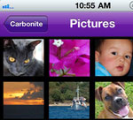 Carbonite Access  icon download