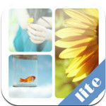 Easy Collage Lite  icon download