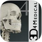 Essential Skeleton 4 icon download