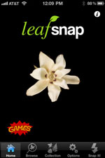 Leafsnap for iPhone icon download