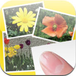 Photo Layout Finger Design for iPad icon download