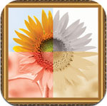 Pic Frames Lite  icon download