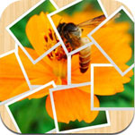 Pictify Photo Collage for iPad icon download