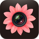Private Photo  icon download