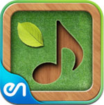 Sound Massage  icon download