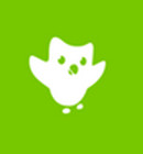 Duolingo cho Windows Phone