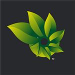 Photosynt  icon download